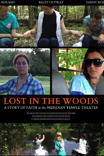 Movie poster for Lost in the Woods (2017)