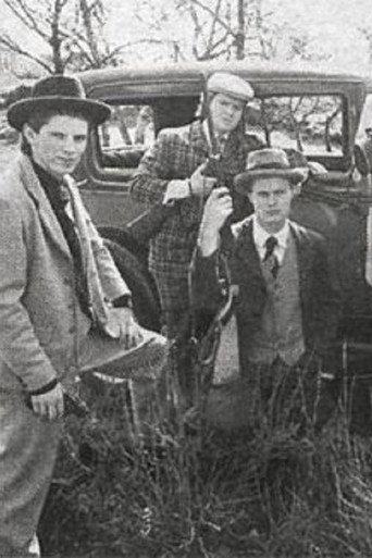 The Irresistible poster