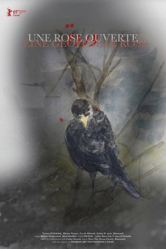 Movie poster for An Open Rose (2019)