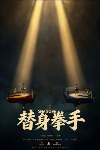 替身拳手 poster