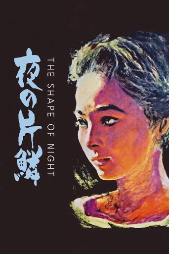 The Shape of Night poster