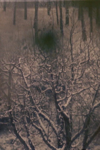 Movie poster for Da Neve A Rosa (1966)