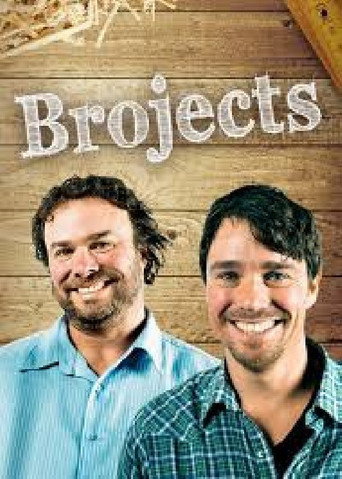 Series poster for Brojects (2014)