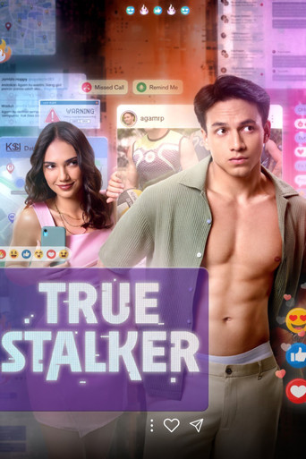 True Stalker poster