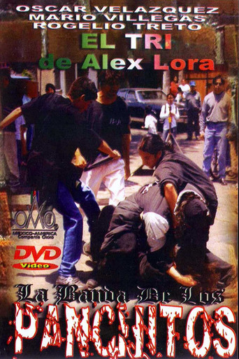 Movie poster for La banda de los panchitos (1987)