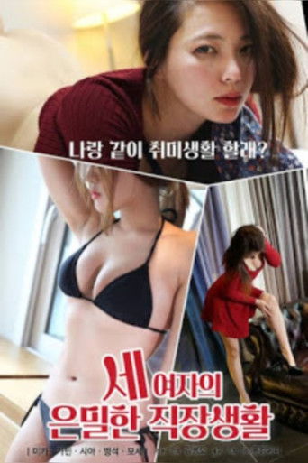 The Secret Work Life Of Three Women poster