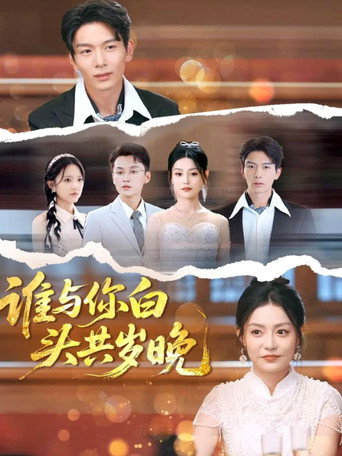 谁与你白头共岁晚 poster