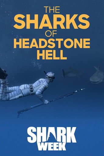 Movie poster for The Sharks Of Headstone Hell