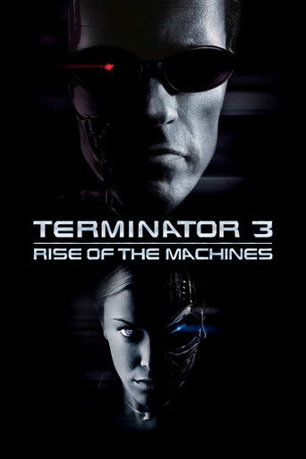 Terminator 3: Rise of the Machines poster