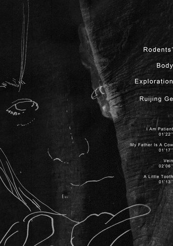 Movie poster for Rodents' Body Exploration (2020)