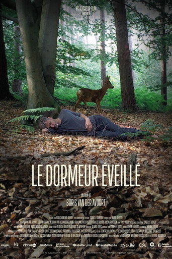 Movie poster for The Wakeful Sleeper (2021)