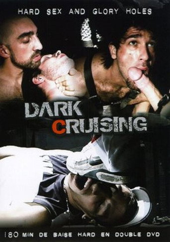 Movie poster for Dark Cruising (2009)