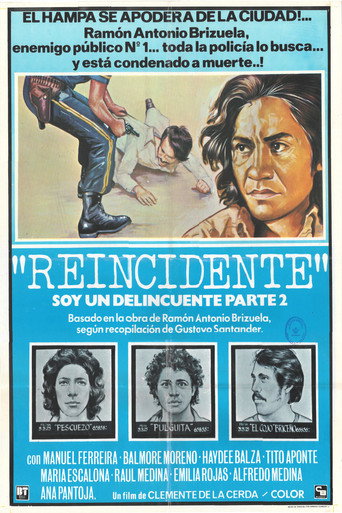 Movie poster for Second Offender (1977)