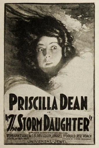 Movie poster for The Storm Daughter (1924)