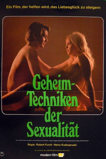 Geheimtechniken der Sexualität poster