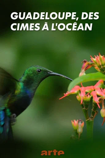 Movie poster for Guadeloupe, from Summits to Ocean (2019)
