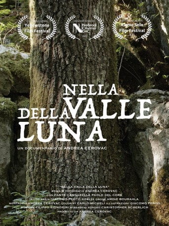 Movie poster for Nella Valle della Luna (2026)