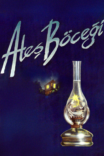 Ateş Böceği poster