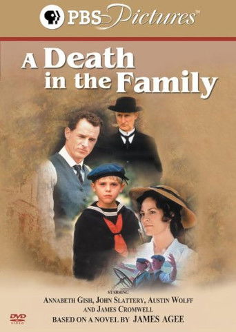 A Death in the Family poster