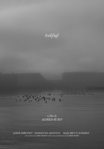 Movie poster for trækfugl (2021)