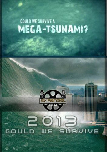Movie poster for Could We Survive a Mega-Tsunami? (2013)