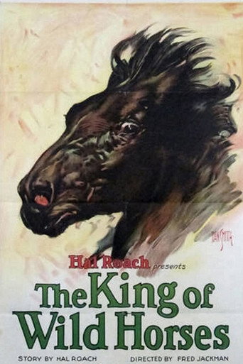 Movie poster for The King of the Wild Horses (1924)