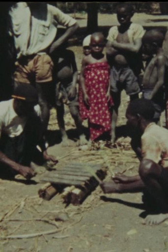 Movie poster for Makonde Musicians