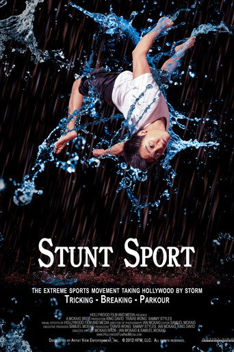 Movie poster for Stunt Sport (2014)