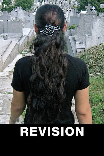 Movie poster for Revision (2012)