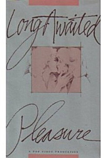 Movie poster for Long Awaited Pleasure (1989)