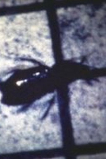 Movie poster for INSECT (1983)