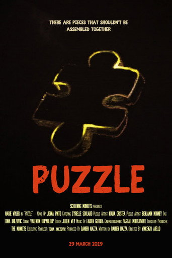 Movie poster for Puzzle (2019)
