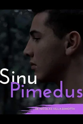 Movie poster for Sinu Pimedus (2019)
