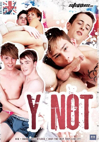 Movie poster for Y Not (2013)