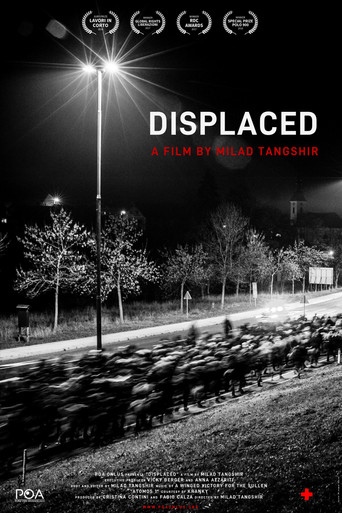 Movie poster for Displaced (2016)