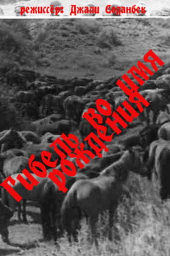 Death in the Name of Birth poster