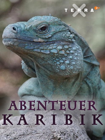 Movie poster for Abenteuer Karibik (2017)