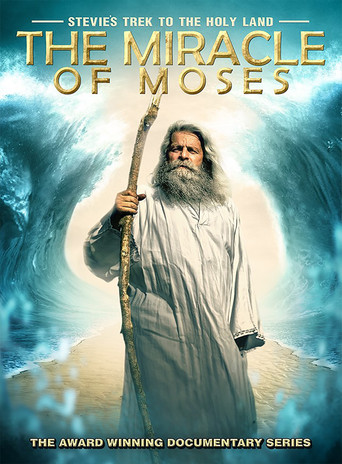 Movie poster for Stevie's Trek to the Holy Land: Miracle of Moses (2014)
