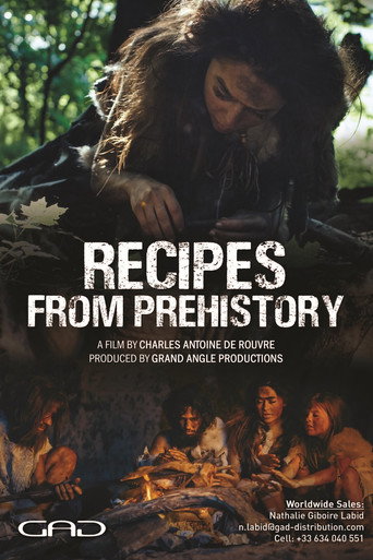 Series poster for Dans les cuisines de la Préhistoire (2024)