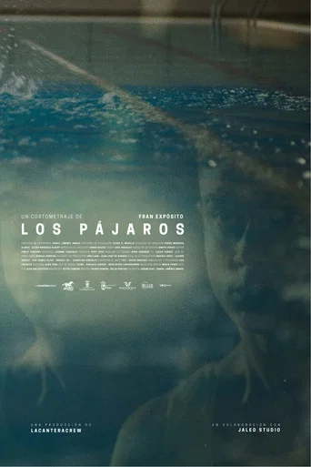 Movie poster for Los pájaros (2026)
