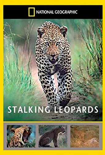 Movie poster for Stalking Leopards (2002)