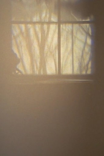 Movie poster for First Law: Quail Ct. (2011)