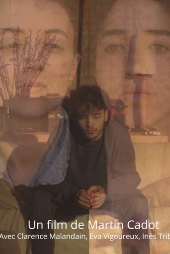 Movie poster for Les vestiges de l'absence