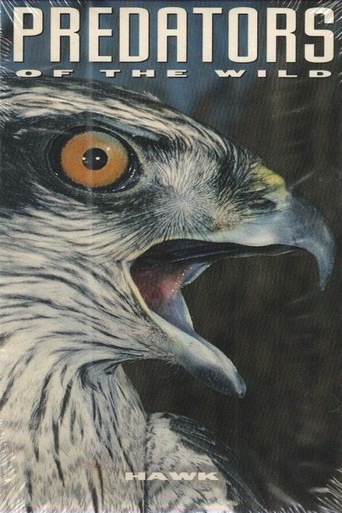Movie poster for Predators of the Wild: Hawk (1993)