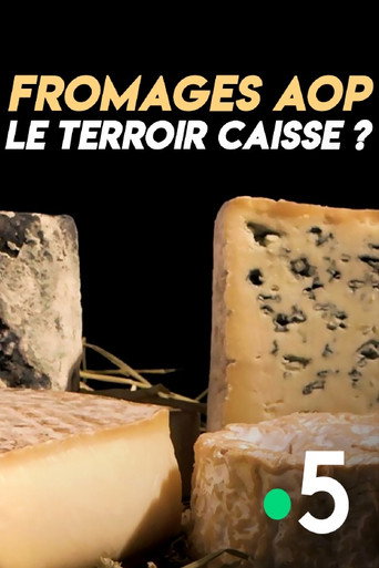 Movie poster for Fromages AOP : le terroir caisse ? (2018)