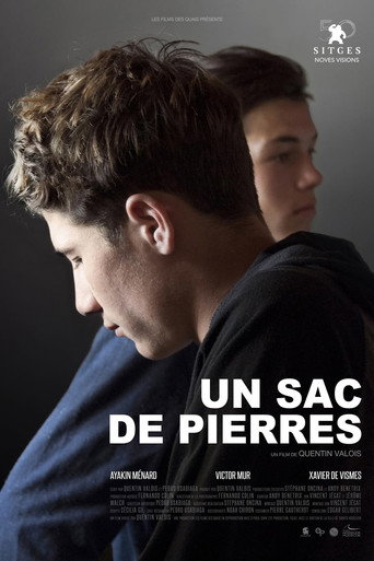 Movie poster for Un sac de pierres (2017)