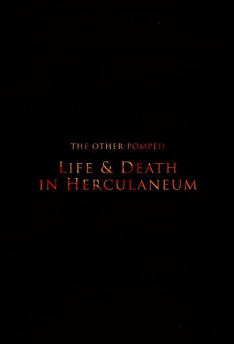 Movie poster for The Other Pompeii: Life & Death in Herculaneum (2013)