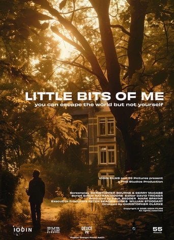 Movie poster for Little Bits of Me