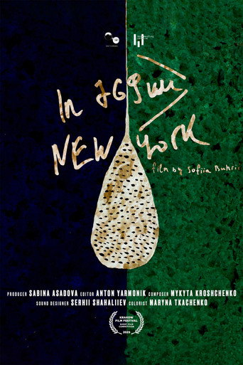 Movie poster for In 769 km, New York (2025)