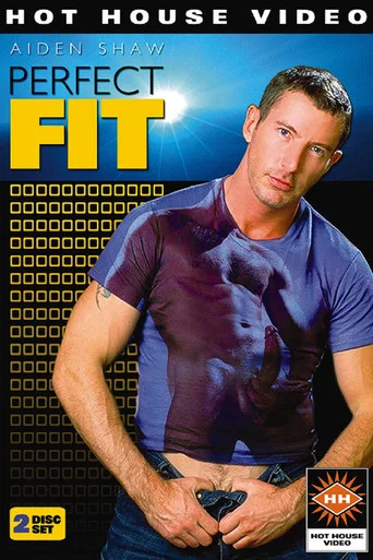 Movie poster for Perfect Fit (2003)